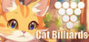 Cat Billiards Image