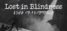 Lost in Blindness Image