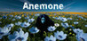 Anemone Image