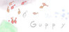Guppy