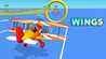 Wings Image