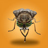 Bug Smasher Image