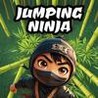 Jumping Ninja Image