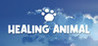 Healing Animal
