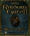 Baldur's Gate II: Shadows of Amn