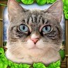 Stray Cat Simulator Image