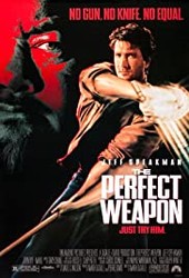 The Perfect Weapon