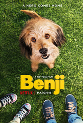 Benji (2018) Reviews - Metacritic