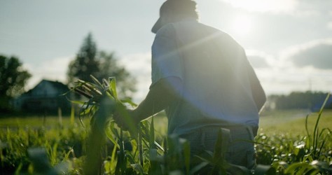 Wasted! The Story of Food Waste