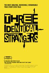 Three Identical Strangers