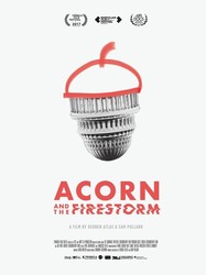 ACORN and the Firestorm