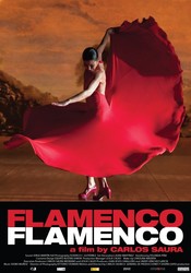 Flamenco, Flamenco