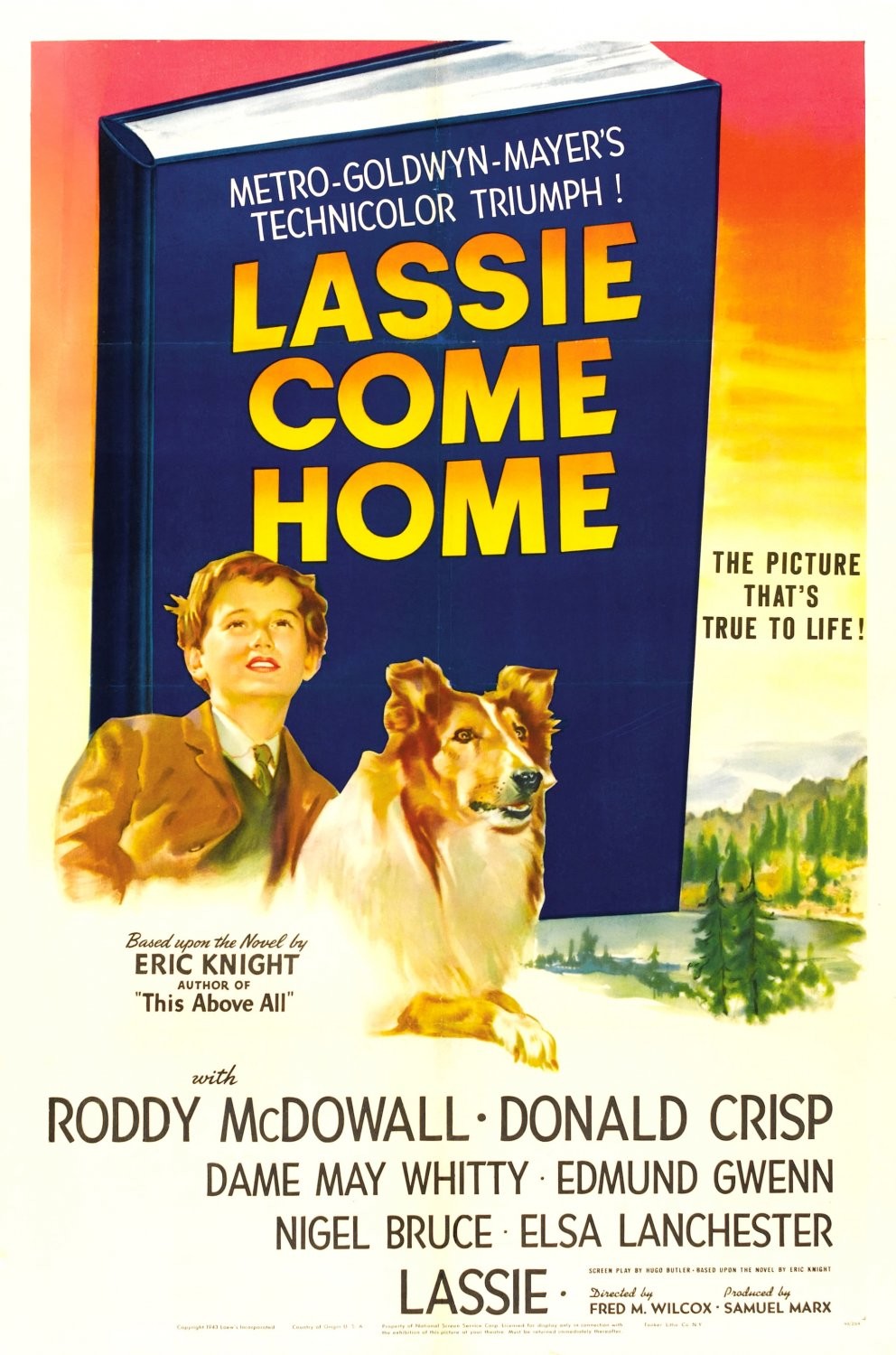 Lassie Come Home Details And Credits Metacritic