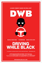 Driving While Black