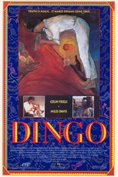 Dingo