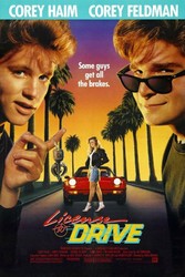 License to Drive