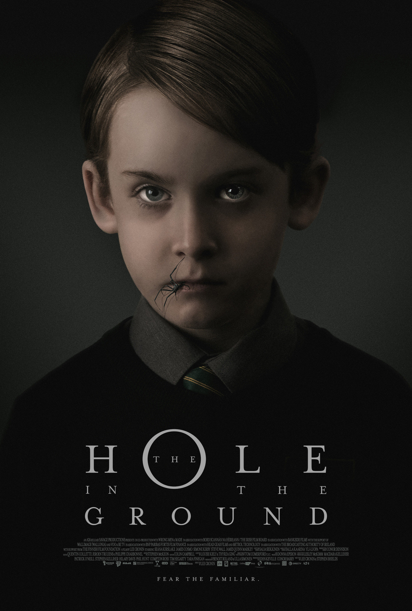 The Hole in the Ground Details and Credits Metacritic