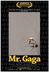 Mr. Gaga