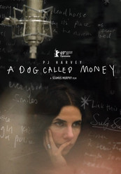 A Dog Called Money