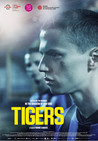 Tigers