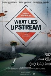 What Lies Upstream