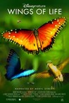 Disneynature: Wings of Life
