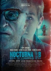 Nocturna: Side B — Where the Elephants Go to Die
