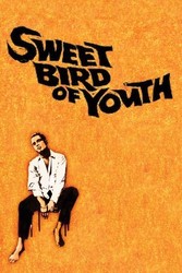 Sweet Bird of Youth