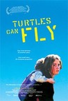 Turtles Can Fly