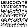 Leucocyte Image