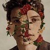 Shawn Mendes Image