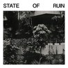State of Ruin Image
