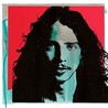 Chris Cornell [Box Set]