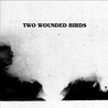 Two Wounded Birds Image