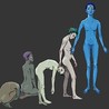 Ardipithecus Image