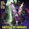 Summer of Sorcery Image