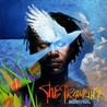 The Traveller Image
