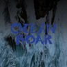 Ocean Roar Image