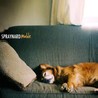 Mable Image