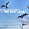 If Not Now, When? Image