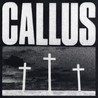 Callus Image