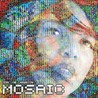 The Mosaic Project Image