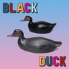 Black Duck Image