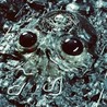 Alien Metal