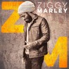 Ziggy Marley Image