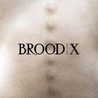 Brood X Image