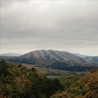 Mount Wittenberg Orca [EP] Image