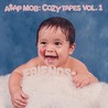 Cozy Tapes, Vol. 1: Friends Image