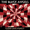 Clear Lake Forest [EP] Image