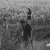 Jesu/Sun Kil Moon Image